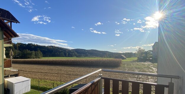 3 ZI-WOHNUNG - 1. OBERGESCHOSS - VASOLDSBERG 37/4