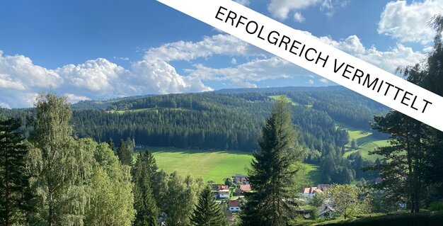 BAULAND - HIRSCHEGG - TRAUMAUSSICHT<br><br>