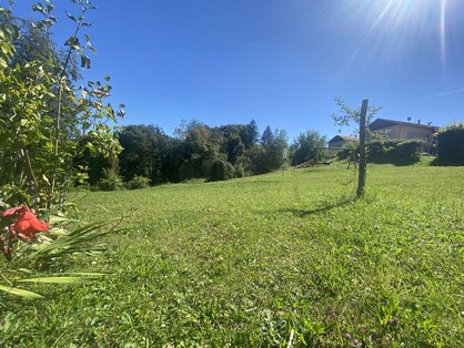 XL-BAULAND - KAINBACH BEI GRAZ + FREILAND