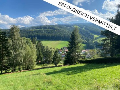 BAULAND - HIRSCHEGG - TRAUMAUSSICHT<br><br>